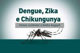 Porto Seguro Saúde e Porto Seguro Saúde Ocupacional explicam sintomas, diagnóstico e tratamento da dengue